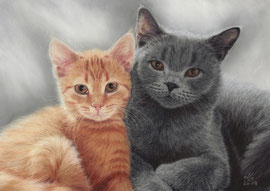 "Marie + Kimba", British short hair, pastel on pastelmat, 29 x 20 cm, commission