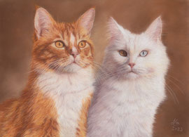 "Moritz + Ally", Maine Coon Mix, pastel on pastelmat, 21 x 30 cm, commission