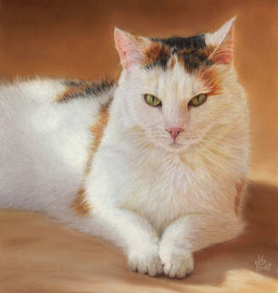 "Luna", pastel on pastelmat, 30 x 31 cm, commission