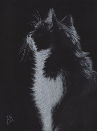 my "Lisa", white charcoal and pastel on Fabriano Black, 24 x 31 cm, own reference photo