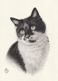 my "Lisa" 2017, charcoal, 20 x 30 cm, own reference photo