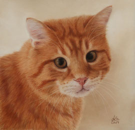 "Lysander", pastel on pastelmat,  21 x 21 cm, privately owned