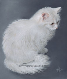 "Smilla", pastel on pastelmat, 20 x 25 cm, commission