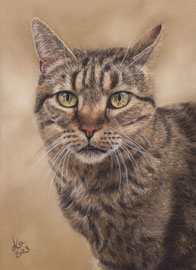  "Lilly", pastel on pastelmat, 20 x 29 cm, privately owned