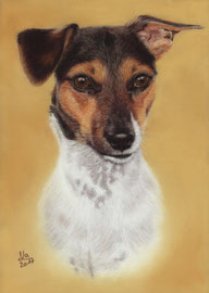 "Josefine", Jack Russel Terrier, pastel on pastelmat, 21 x 29 cm, commission