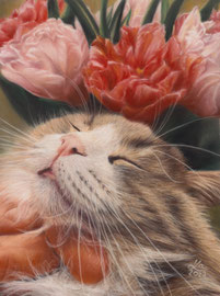 "Homer", pastel on pastelmat, 20 x 28 cm, commission