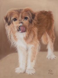 "Vinci", pastel on pastelmat, 21 x 29 cm, commission