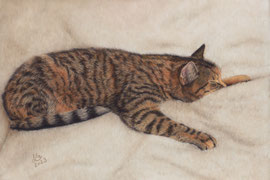 "Helena", pastel on pastelmat, 40 x 28 cm, commission