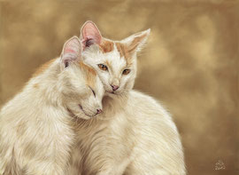 White kitties, pastel on pastelmat, 39 x 27 cm, reference photo "StockSnap", pixabay; SOLD
