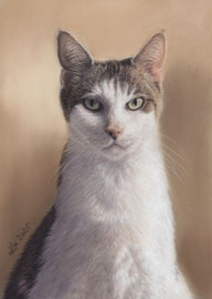 "Rapti", pastel on pastelmat, 21 x 29 cm, commission