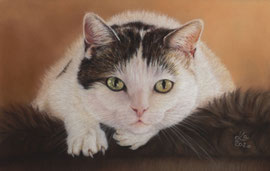 "Ilse", pastel on pastelmat, 30 x 19 cm, commission