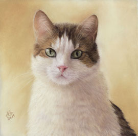 "Paul", pastel on pastelmat,  21 x 21 cm, commission