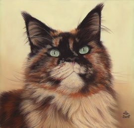 "Vinny", black tortie Maine Coon, pastel on pastelmat, 29 x 30 cm, commission