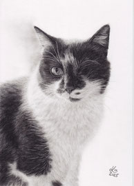 my "Lisa" 2023, charcoal on Daler Rowney drawing paper, 21 x 29 cm, own reference photo