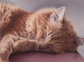 "Attila", pastel on pastelmat, 20 x 15 cm, commission