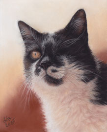 my "Lisa", pastel on pastelmat, 16 x 20 cm, own reference photo
