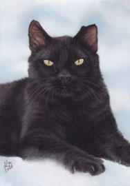 "Peet", pastel on pastelmat, 21 x 29 cm, commission