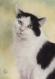 "Susi", pastel on pastelmat, 20 x 29 cm, commission