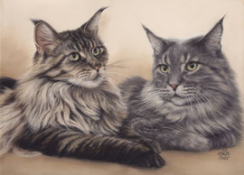"Wolke Sieben + Watani", Maine Coon Cats, pastel on pastelmat, 29 x 39 cm, commission