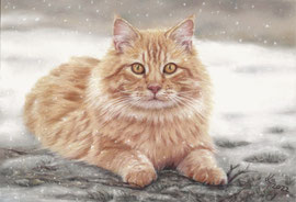 "Honig" in the snow",  pastel on pastelmat, 30 x 20 cm, reference photo Niner09, pixabay