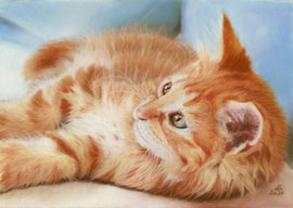 pastel on pastelmat, 29 x 20 cm, reference photo Melanie Bellgardt; SOLD - VERKAUFT