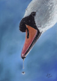 Swan portrait, pastel on pastelmat, 20 x 30 cm, reference photo Garry Bree; SOLD - VERKAUFT