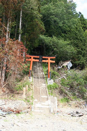三嶋神社の鳥居の上まで水が来たとのこと。　長い怪談を登ると三嶋神社がある。大きな銀杏の木と柏の大木があった