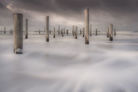Petten Palendorp