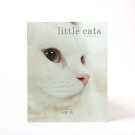 little cats(リトルキャット） 2015年10月 ラピスエンテ発行  写真/石橋絵