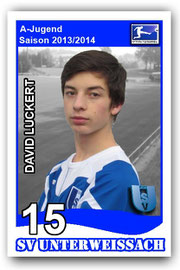 15 David Luckert