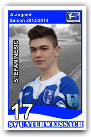 17 Stefan Nesic