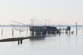 Wasserwelt vor Comacchio