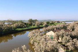 Wasserwelt vor Comacchio