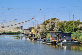 Wasserwelt vor Comacchio