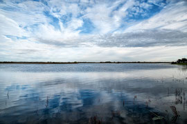 Irland - am River Shannon