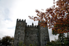 Irland - Bunratty