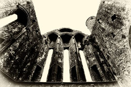 Irland - Rock of Cashel