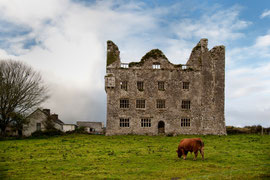 Irland - Impressionen