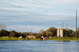 Irland - am River Shannon