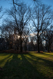 New York - Central Park