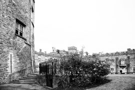 Irland - Kilkenny Castle Impressionen