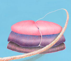 Fempulp (Feel it´s sound), 2020 / Öl auf Leinwand / 40x30 cm 