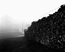 Wald