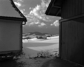 Stein Winter