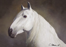 Lusitano, Acryl auf Leinwand, 80x100