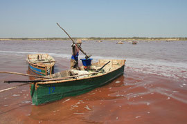 Photo N° 6 : Au fond du lac Retba (lac rose), on ramasse le sel à la pelle. La couleur du lac est due à une algue rouge qui se développe à cause de la salinité de l’eau. Sénégal.