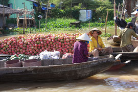 Photo N° 8 : Sur le Mékong, les fruits sont vendus en gros sur des barges (ici des pitayas) . Pour les prix, ça se discute ! Vietnam.