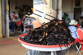 Photo N°1 : Sur certains marchés, on vous propose des araignées (comme des mygales) frites. Il paraît que c’est croustillant, il paraît ! Cambodge. 