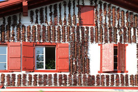Photo N° 18 : Les piments ornent les façades des maisons aux volets rouges d’Espelette. Après séchage, ils sont vendus préparés de nombreuses façons. France.