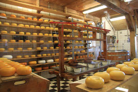Photo N° 17 : A Zaanse Schans, on vend des fromages comme à Edam. Les moulins ne sont pas loin ! Pays Bas.